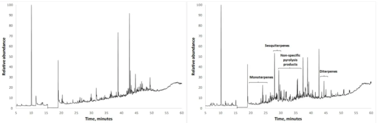 Figure 8. Py-GC/MS chromatographic profiles of amber samples. On the left, Anta Grande do  Zambujeiro