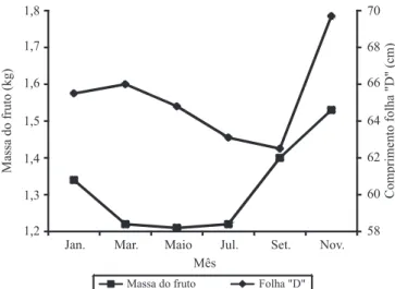 Figura  3.  Massa  dos  frutos  e  comprimento  da  folha  D  do  abacaxizeiro  'Smooth  Cayenne',  de  acordo  com  diferentes  épocas de indução floral artificial. 