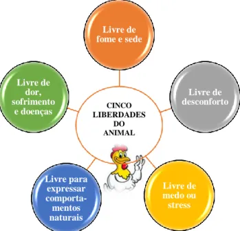 Figura 25: Cinco liberdades do bem-estar animal. 