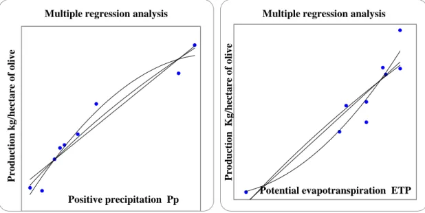 Fig. 2: - Multiple regression analysis. Positive precipitation and potential evapotranspiration
