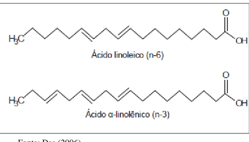 Figura 2. Estrutura dos ácidos graxos: linoleico e α-linolênico. 