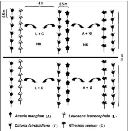 Figura 1. Diagrama das parcelas experimentais indicando   os tratamentos com e sem NK