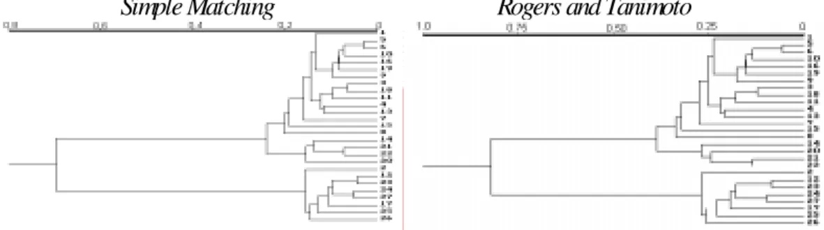 Figure 1 - Dendrograms constructed from matrices of genetic distances obtained by the complement of the similarity coefficients