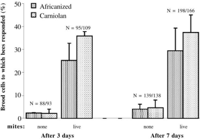 Figure 1 - Hygienic behavior of Africanized and Carniolan honey bees three and seven days after manipulation, respectively (N = number of manipulated brood cells)