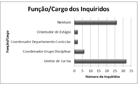 Gráfico 6 - Funções/ Cargos 