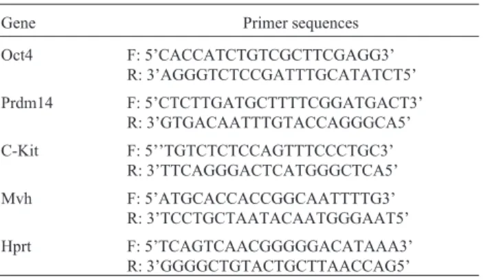 Table 1 - Primer sequences used in quantitative real-time PCR.