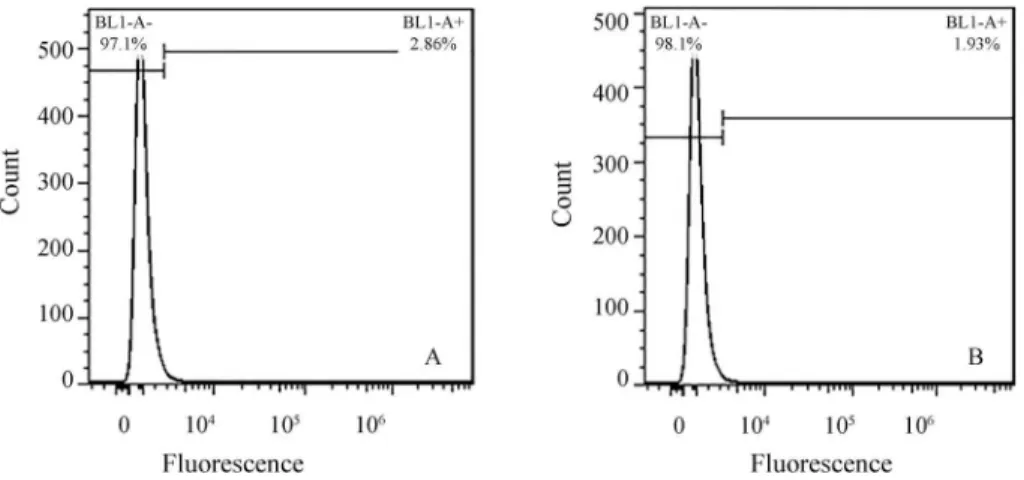 Figure 4 - Flow cytometry showing the ratio of Mvh-positive cells in the test (A) and control (B) groups.