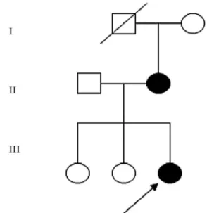 Figure 1 - The osteogenesis imperfecta pedigree of the nuclear family of the proband.