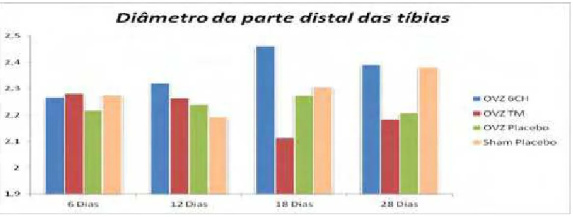 Figura 10 – Gráfico de colunas dos valores médios do diâmetro da parte distal das tíbias