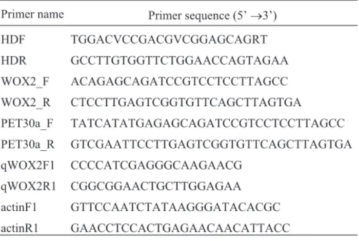 Table 1 - Primer sequences.