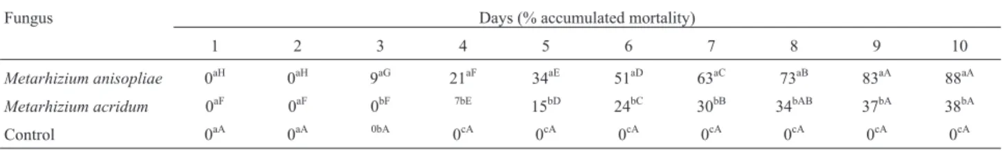 Table 2 - Accumulated mortality of Diatraea saccharalis infected by Metarhizium anisopliae and Metarhizium acridum during 10 days of evaluation.