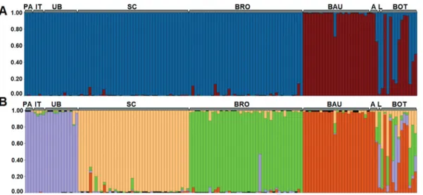 Figure 2 - Population structure. Q plots were generated by the STRUCTURE program. These are based on a multilocus analysis of the nine P