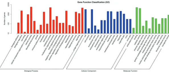 Figure 2 - Gene ontology classifications of unigenes from the P transcriptome.