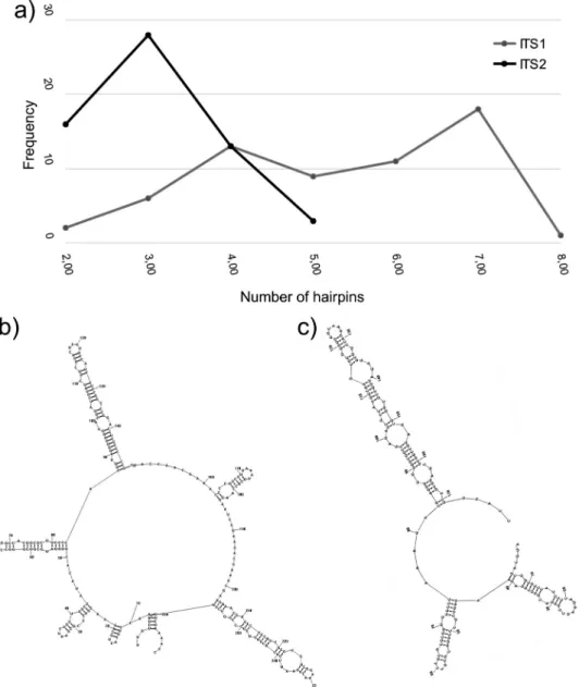 Table 2). There were also statistically significant differ- differ-ences in the total number of possible secondary structures among subgenera for ITS1 (P < 0.01) and ITS2 (P < 0.01).