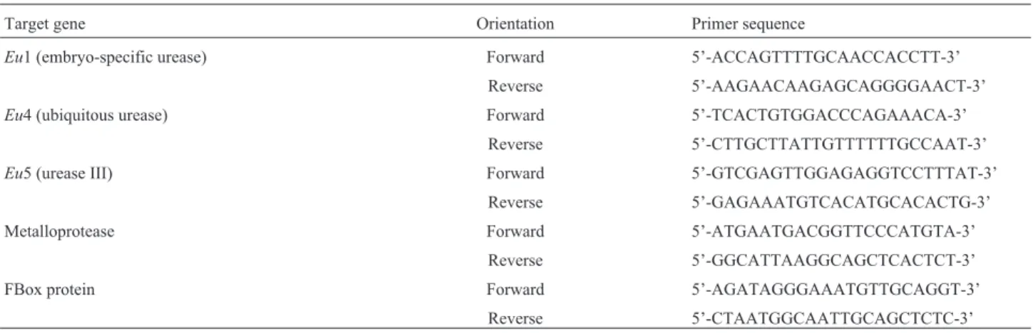 Table 1 - Primer set designed for RT-qPCR.