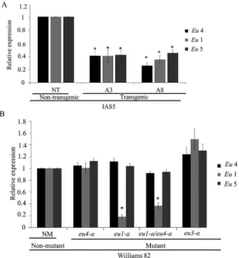 Figure 1 - Transcript levels (RT-qPCR) of urease-encoding genes (Eu4, Eu1, Eu5) in roots of two-week-old plants