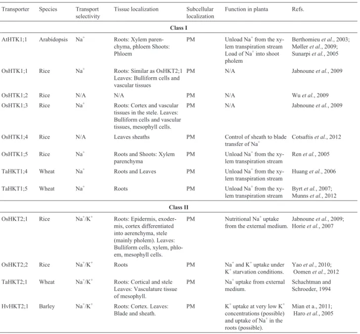 Table 2 - List of HKT transporters including information about class, species, transport selectivity, tissue localization, subcellular localization and plant function for each HKT transporter described in this review