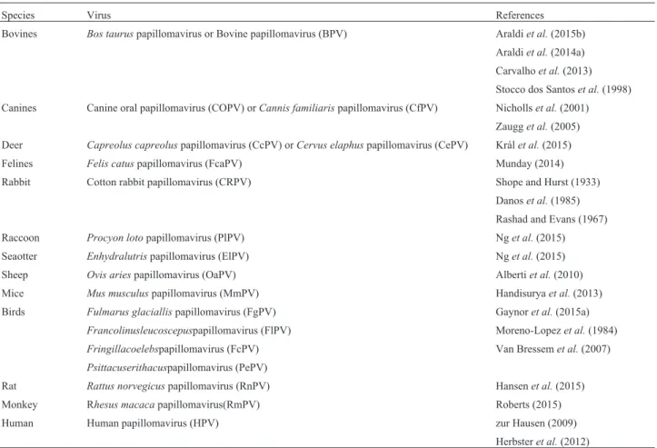 Table 1 - Papillomaviruses identified in different vertebrates
