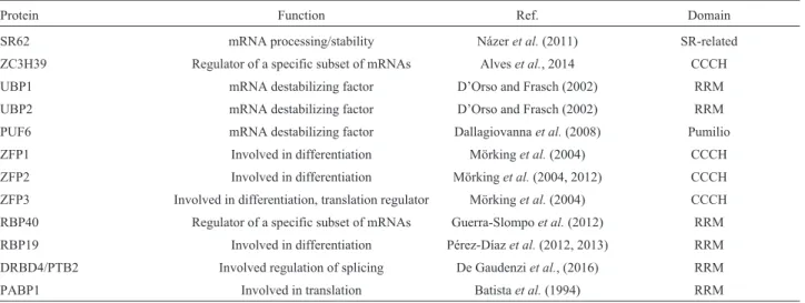 Table 1 - RNA binding proteins characterized in Trypanosoma cruzi.