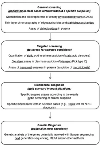 Figure 1 - Flowchart of the investigation for LSDs.