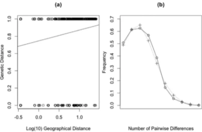 Figure 3 - Mantel test results. (a) Plot of Mantel test showing the relation- relation-ship of genetic and geographic distances (r=0.18484, p=0.9995); (b)  Mis-match distribution of mtDNA data for M