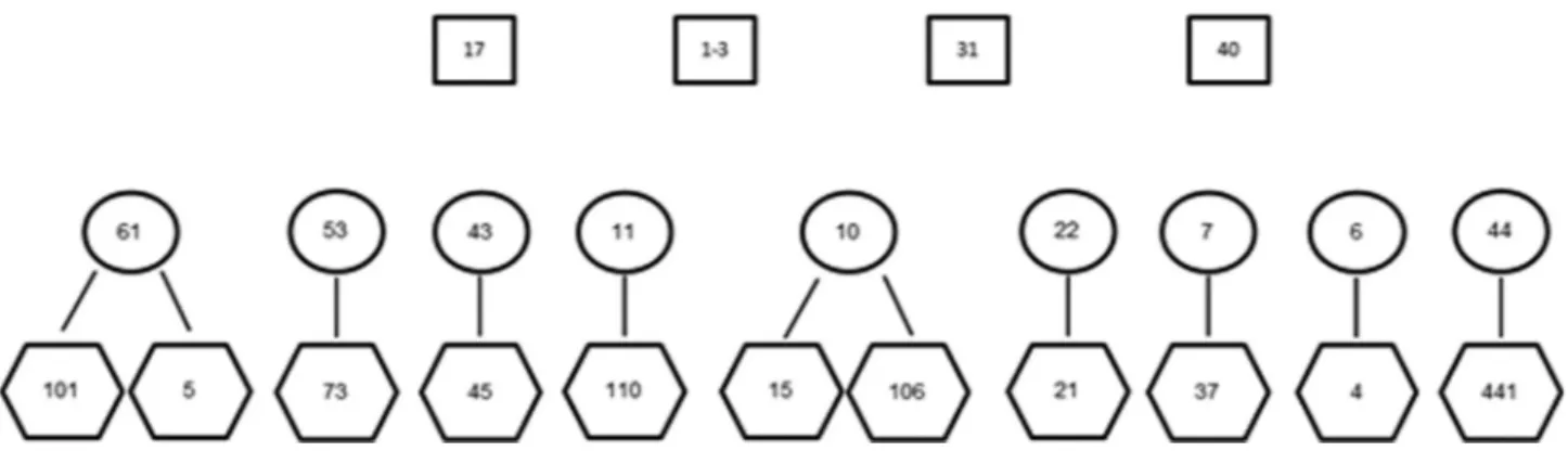 Figure 1 - Diagram illustrating the known relationships between 24 rhino samples. Rectangles indicate potential paternal candidates, ovals the maternal samples and hexagons the offspring.
