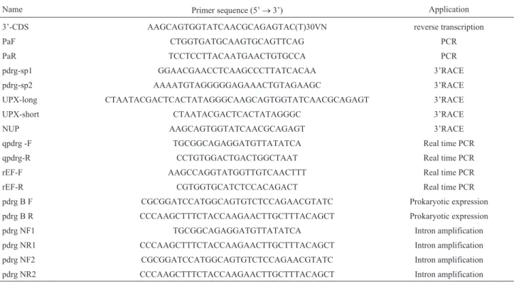 Table 1 - Primers used for gene cloning and expression analysis.