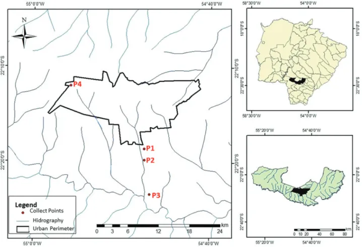 Figure 1 - Collection sites for water samples. Collection points from surface water in the Água Boa stream (P1, P2, P3), and groundwater from artesian well of UFGD (P4).