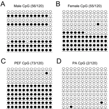 Figure 2 - Methylation pattern of H19 DMR3. CpG methylation profiles of H19 DMR3 in male eye (A), female eye (B), porcine embryonic fibroblast (PEF) cells (C) and parthenogenetic (PA) cells (D)