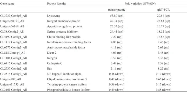 Table 5 - Comparison of relative fold change of RNA-Seq and qRT-PCR results between GW and GN.