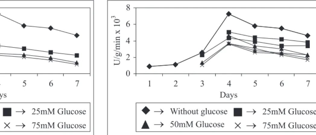 Figure 2b.  ß-glucosidase production in absence of glucose and when glucose added at 24 hours at 25, 50 and 75 mM concentrations.