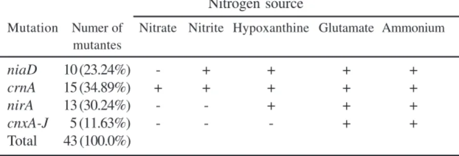 Table 1. Growth of the P. brevicompactum chlorate mutants in minimum medium containing different nitrogen sources.