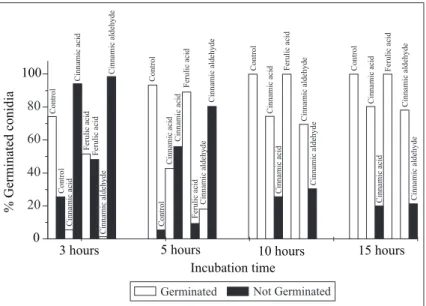 Figure 1. Effects of some benzene compounds on the Neurospora crassa germination. Conidia were incubated at 30ºC in liquid Vogel’s minimal media supplemented or not with 250 µg/mL benzene compounds and incubated for 3; 5; 10 and 15 hours