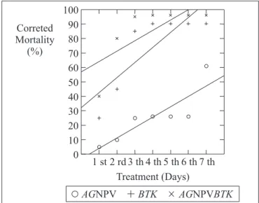 Figure 2. Longitudinal sections of the midgut Anticarsia gemmatalis larvae treated with: (A) Control, not treated; (B) 24 hours after the treatment with Baculovirus anticarsia and Bacillus thuringiensis serovar kurstaki; (C) 24 hours after treatment with B