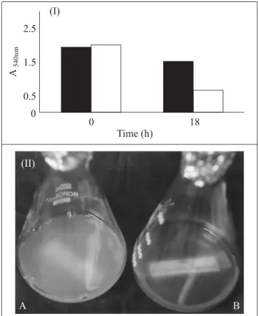 Figure 1. Clarification of pasteurized xanthan broth at different dilutions by Pseudomonas sp