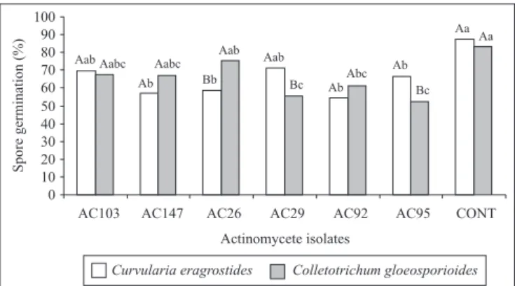 Figure 2. Effect of secondary metabolites produced by actinomycete strains on spore germination of Colletotrichum gloeosporioides and Curvularia eragrostides