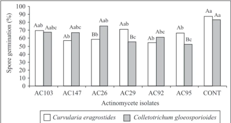 Figure 5. Effect of different concentrations (%) of secondary metabolite from Streptomyces sp