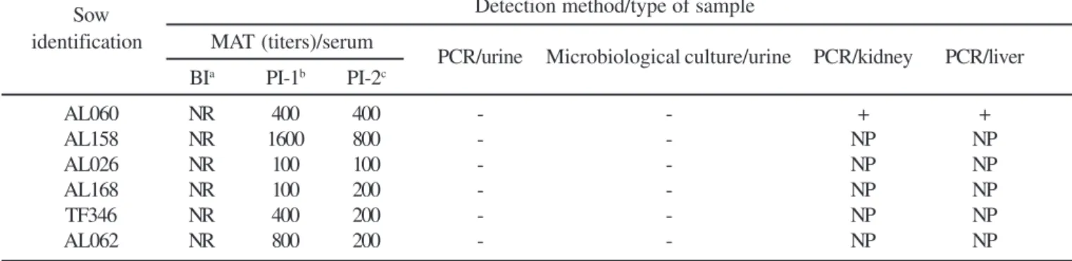 Table 1. Results obtained in the sows experimentally infected with Leptospira interrogans serovar Canicola regarding to detection method and type of sample.