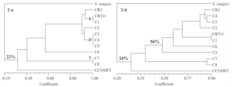 Figure 2. Dendrograms obtained from the AP-PCR analysis. 2-a- Dendrogram obtained by using the RR2 and 434 primers.