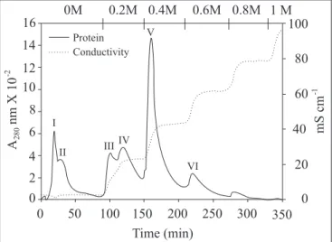 Figure 1. Anion exchange chromatography of precipitate p40- p40-80 obtained from the crude aqueous extract of Lentinula edodes fruiting bodies
