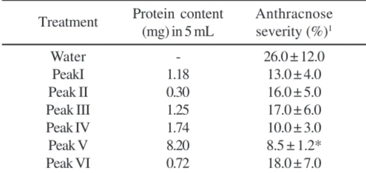 Figure 2. SDS-polyacrylamide gel electrophoresis of peak V and precipitate p40-80 from Lentinula edodes (isolate LE 96/
