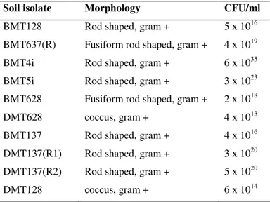 Table  1.  Characteristics  and  Viability  of  soil  bacterial  isolates in BaP-BSM after 7 days 