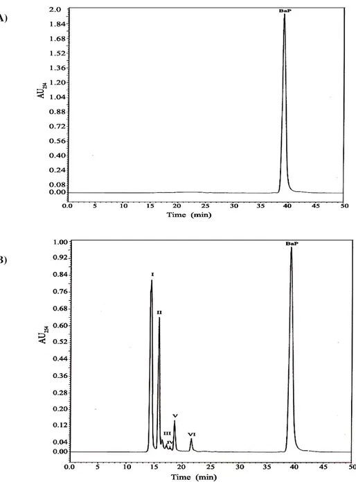 Figure 3. The HPLC profile for BaP and its metabolites after 7 days of incubation: (A) Without BMT4i (negative control); (B)  with BMT4i in BSM- BaP medium 