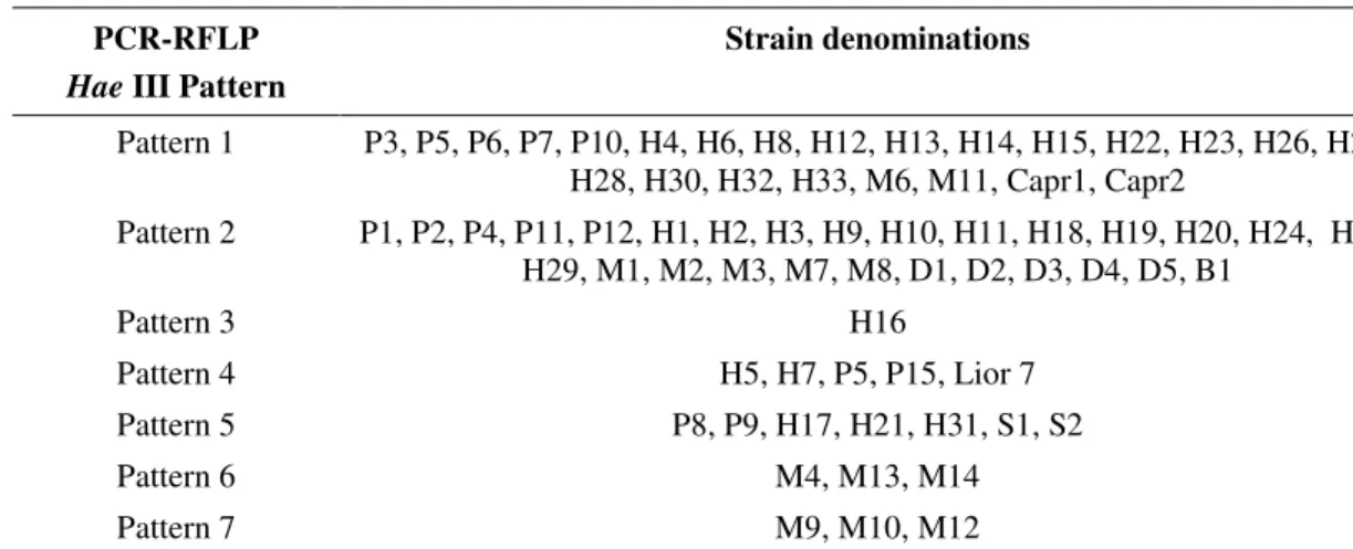 Table  2.  Restriction  patterns  of  70  Campylobacter  jejuni  strains,  and  the  reference  strain,  obtained  using  restriction  endonuclease Hae III applied to PCR-amplified 702 pb fragment of fla A gene