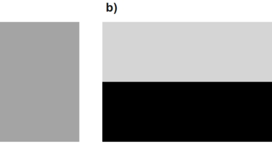 Figura 3.1: Escalas de cinza. A Fig.(a) mostra uma determinada escala de cinza preenchendo totalmente o display do LCD
