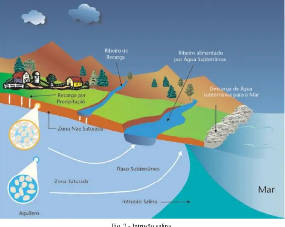 Fig. 7 - Intrusão salina. 