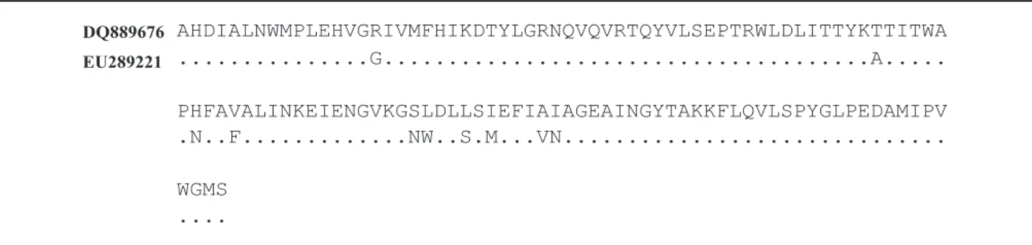Figure 3. Alignment of deduced partial amino acid sequence of cesB derived in this study from B