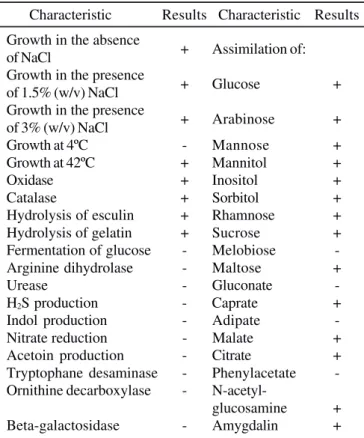 Table 1 Utilization of aromatic compounds as the sole source of carbon by the strain KB2 (in brackets the highest concentration degraded by strain within 24 hours is given).