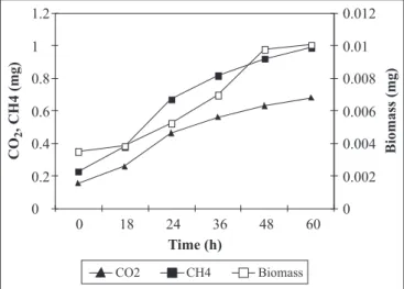 Table 3. Conversion percentage CH 4 /CO 2  (P) (Xo = 0.0700 g.L -1 ; T = 30ºC; pH = 6.5 and 1.79 mmol of initial methane (28.68 mg)).