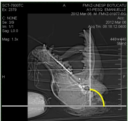 Figura  11:  Imagem  tomográfica  ilustrando  o  posicionamento  do  crânio  para o exame tomográfico, de modo que a mandíbula forme um ângulo de 90° 